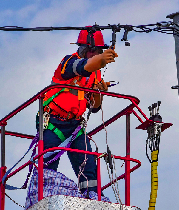 Electrical Works